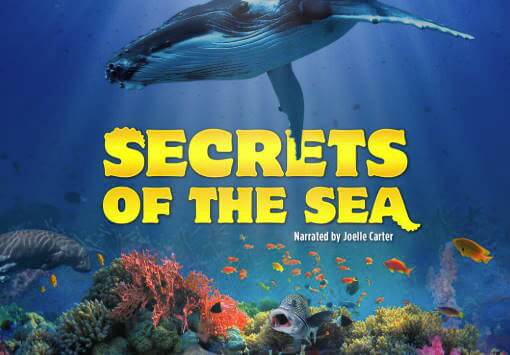 Cover image for the Giant Screen Film, Secrets of the Sea