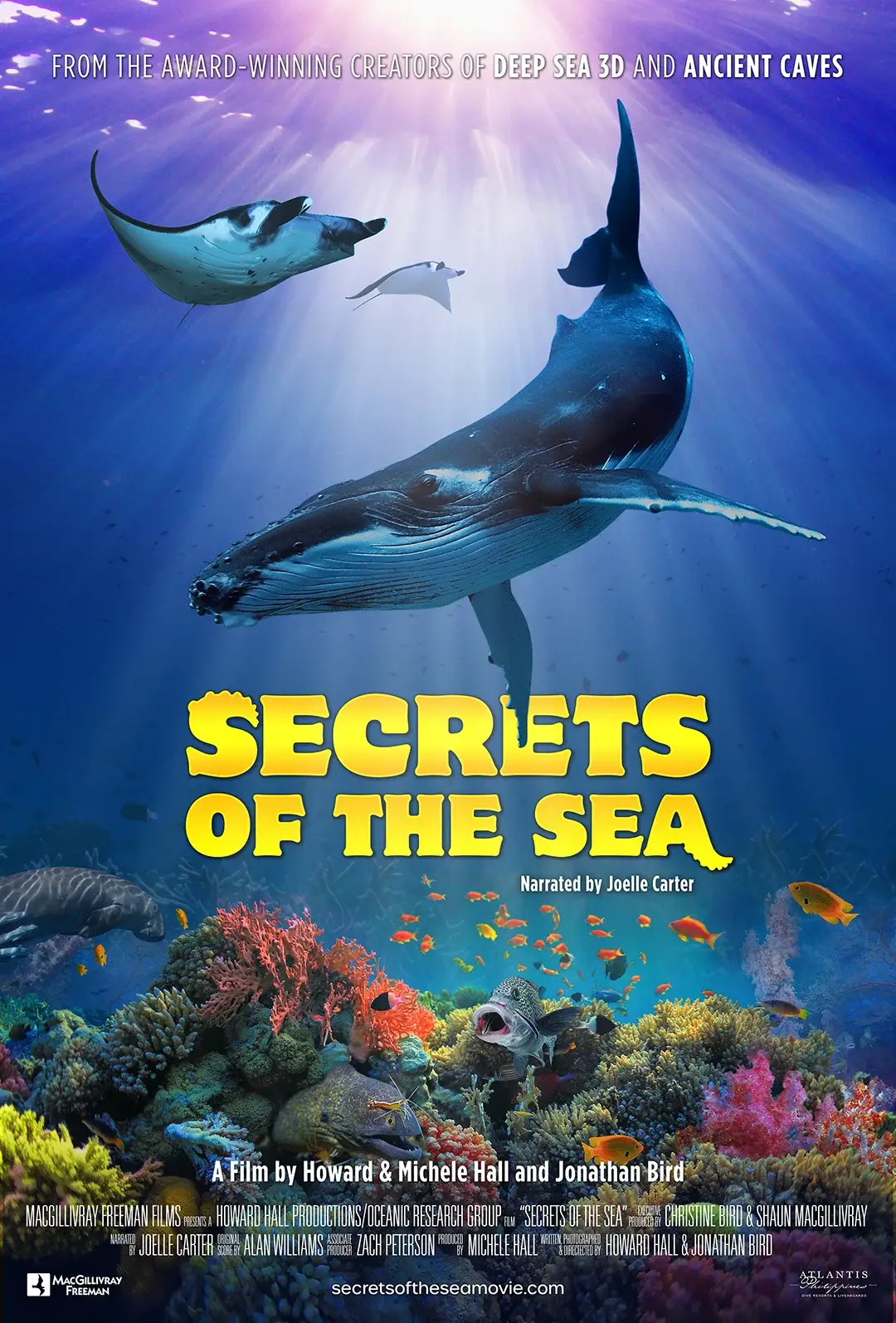 Cover image for the Giant Screen Film, Secrets of the Sea