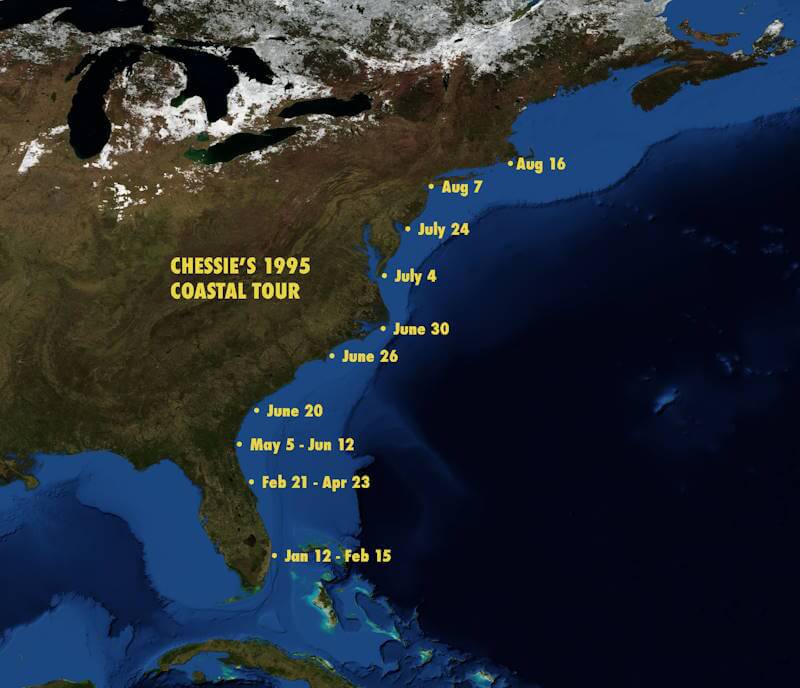Map showing the 1995 coastal migration route of Chessie the manatee along the U.S. East Coast