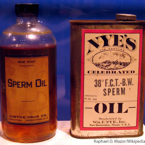 Historic bottles of spermaceti oil once used for lamps and lubrication