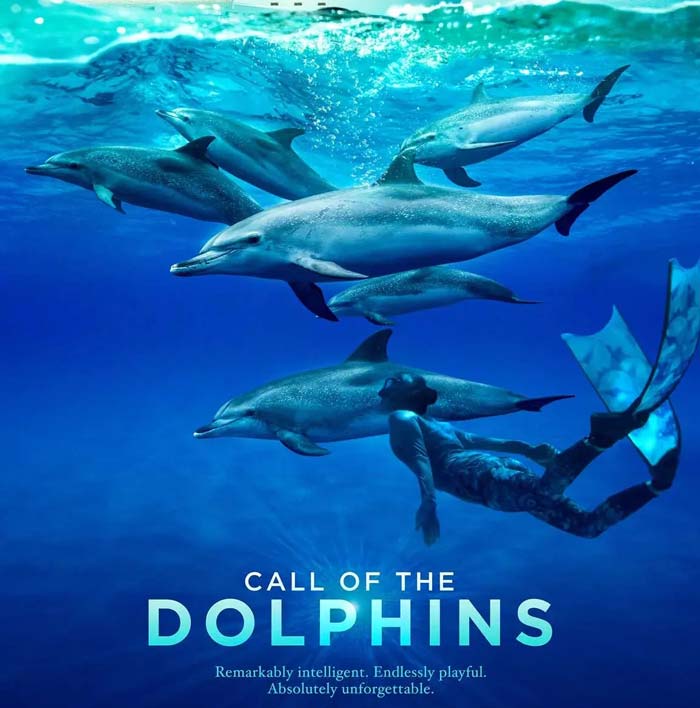 Cover image for the Giant Screen Film Call of the Dolphins